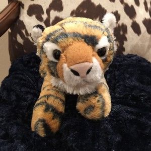 Meet your Posher, Joey